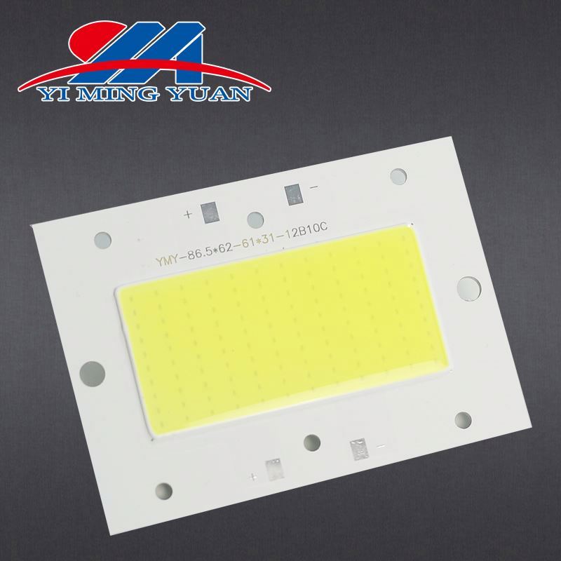 zhanlang1 30W customized high power outside cob led panel led cob with CE RoSH Certification