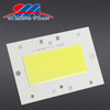 xiaojingang 100W customized high power outside cob led with CE RoSH Certification