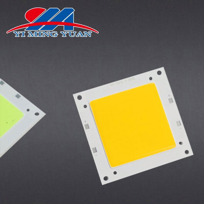 zhanlang2 40W 50W customized high power outside cob led with CE RoSH Certification