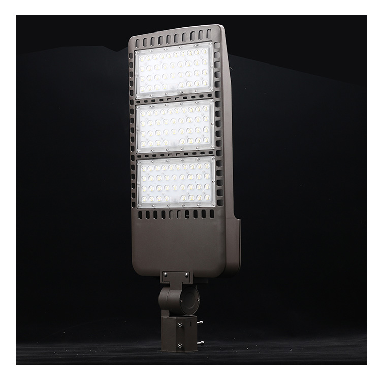 Ce Rohs Approved IP66 Professional Outdoor Led Street Light 